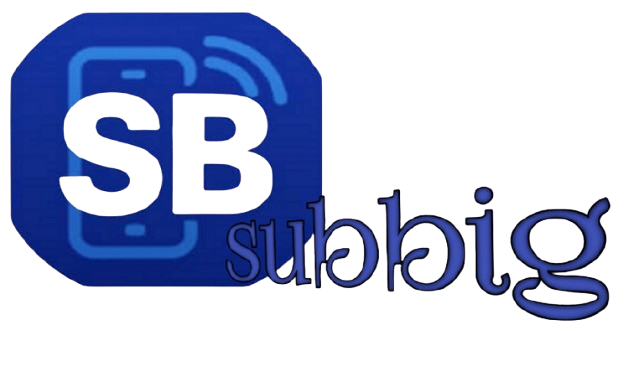 subbig Logo